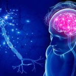 Neuro Energizer