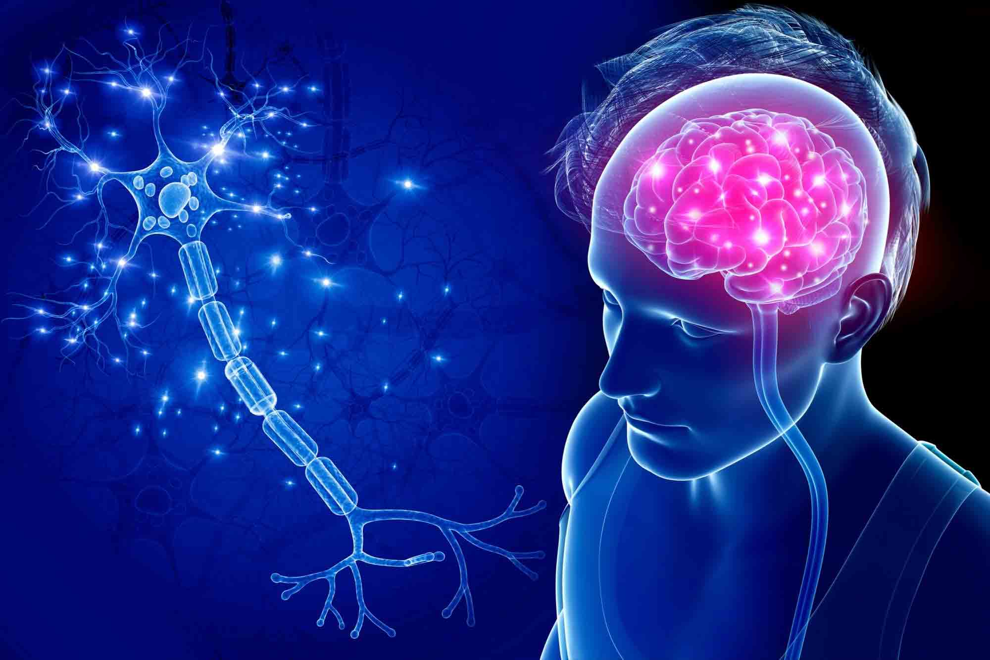 Neuro Energizer