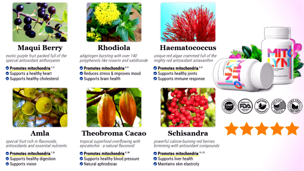 Mitolyn-Ingredients, mitolyn review, buy mitolyn